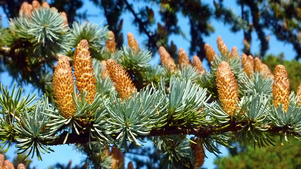 20120922-P1010355-Modifier-Modifier-Modifier-Modifier