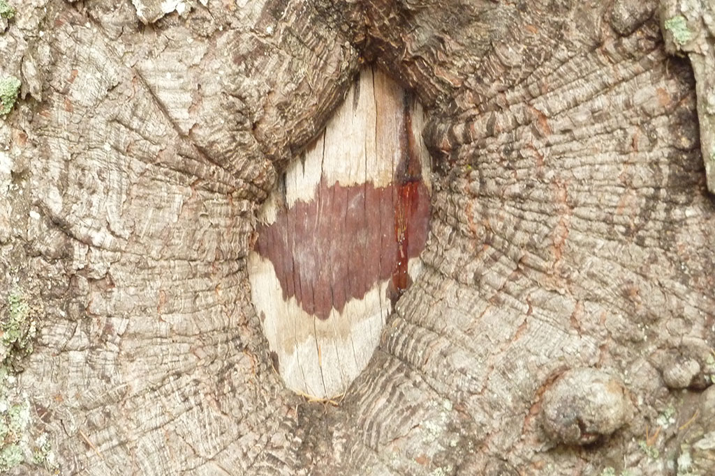 20120922-P1010373-Modifier-3-Modifier